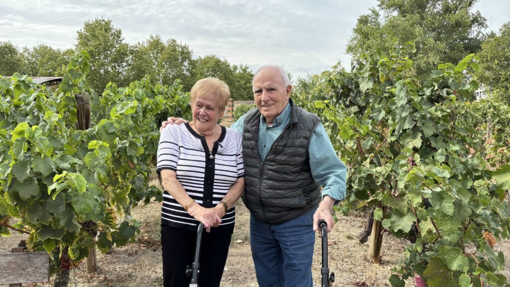 Valentina y Victoriano descubren la vendimia